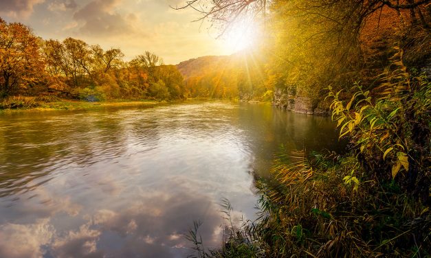 Utjecaj solarne eklipse na poznate osobe rođene u znaku jarca, vodenjaka i riba